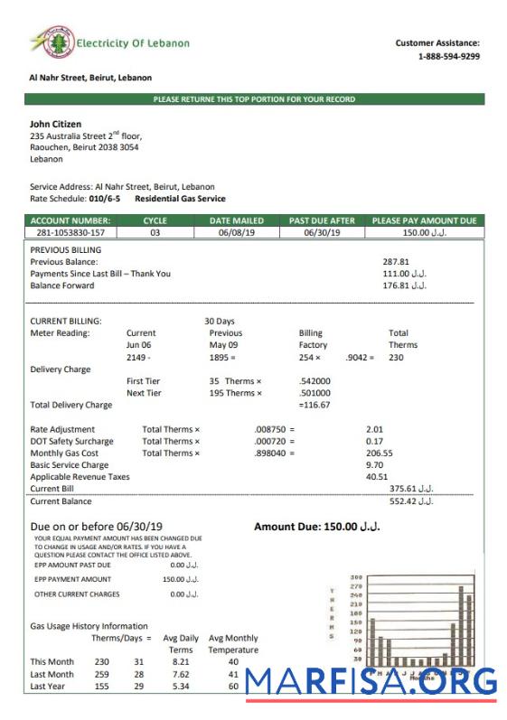 Realistic Lebanon Electricity of Lebanon utility bill template in Word and PDF format